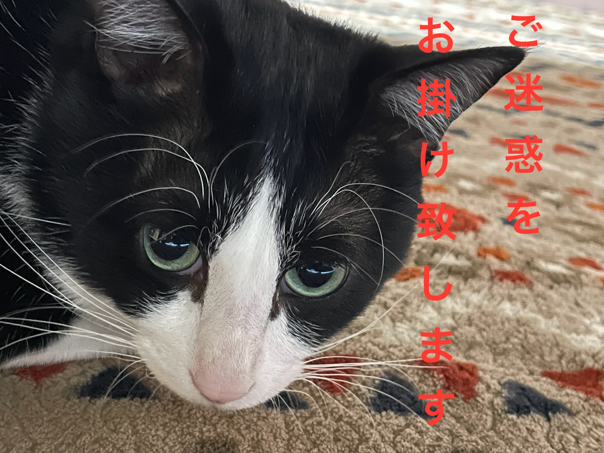 臨時休業のお知らせ