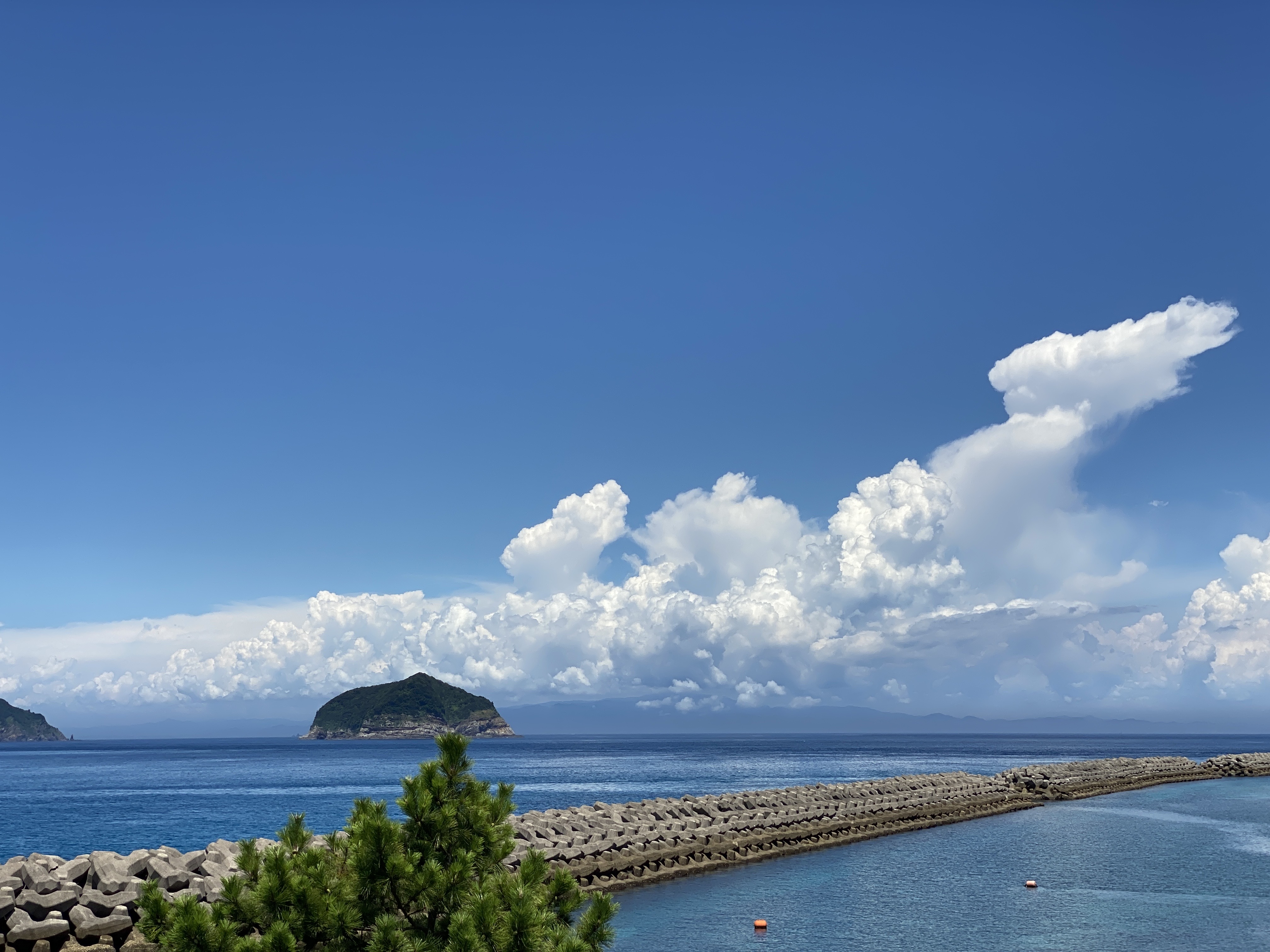 夏季休業のお知らせ