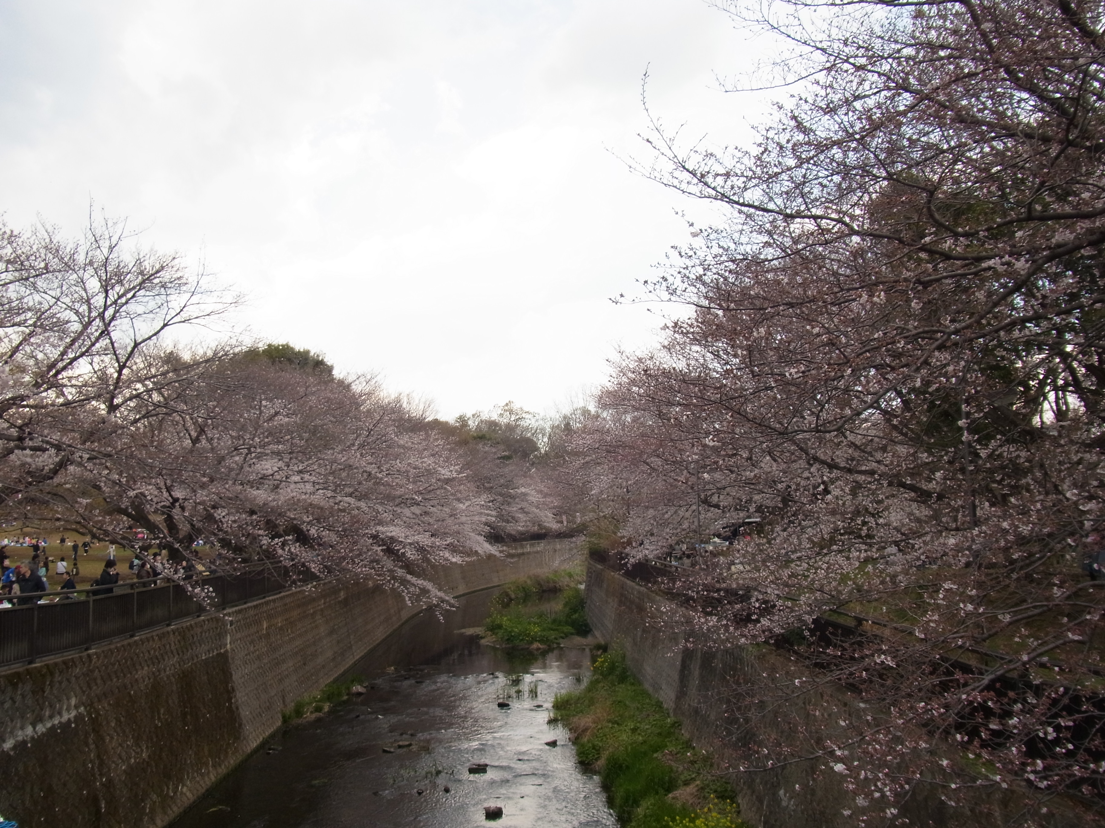 令和の始まり