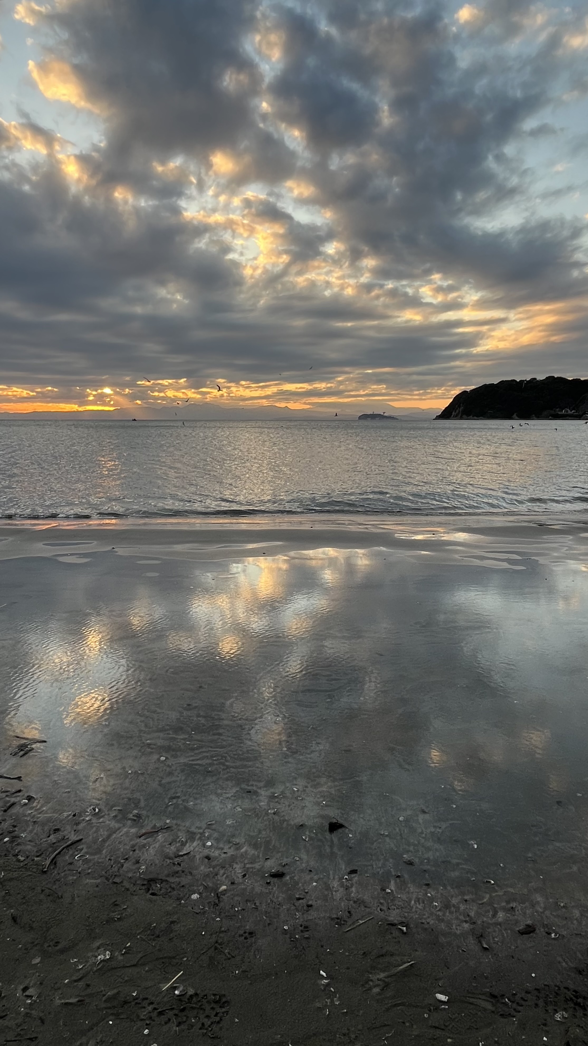 夏が抜け落ちてしまいました🙏