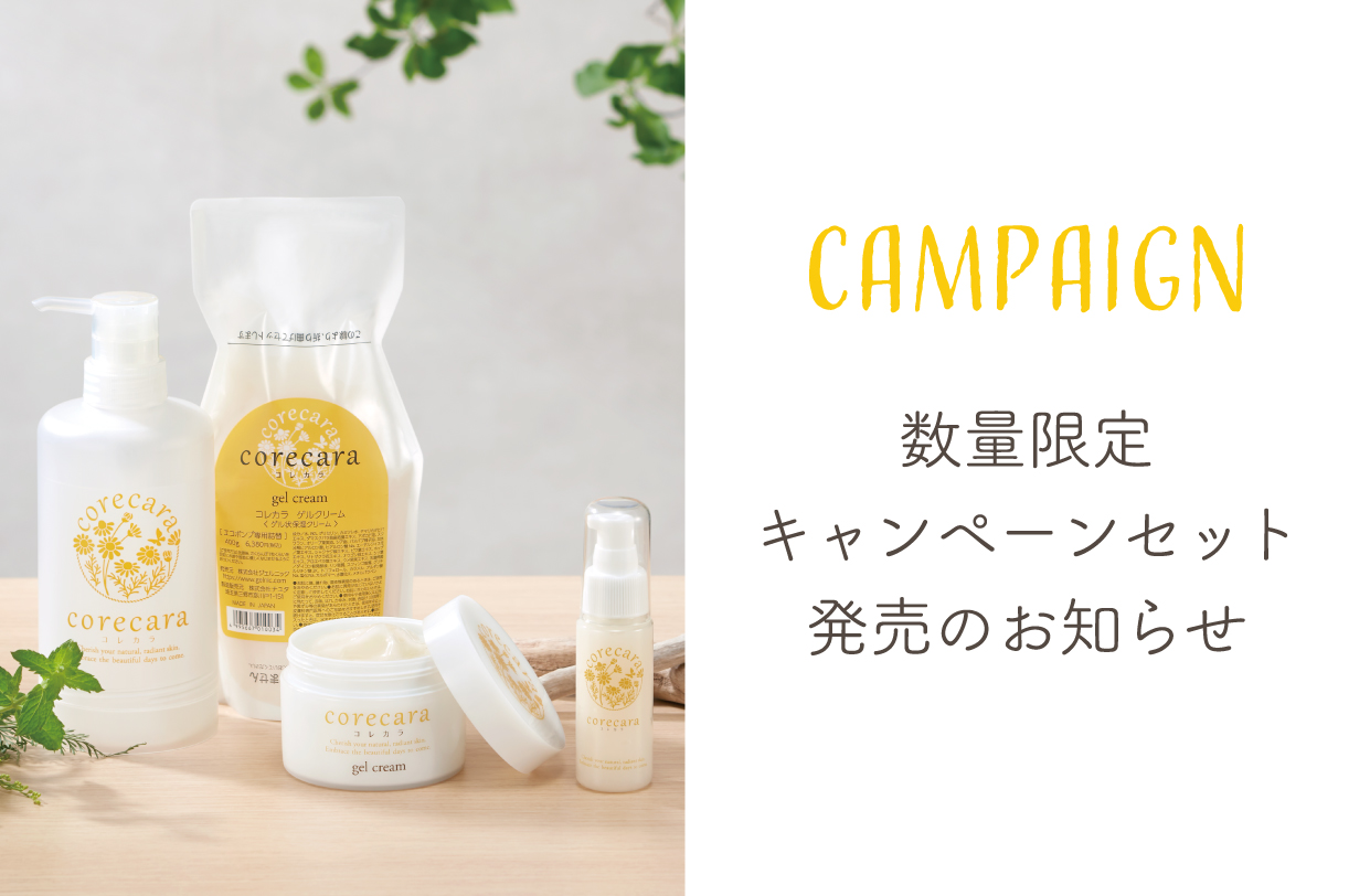 【数量限定】キャンペーンセット発売のお知らせ