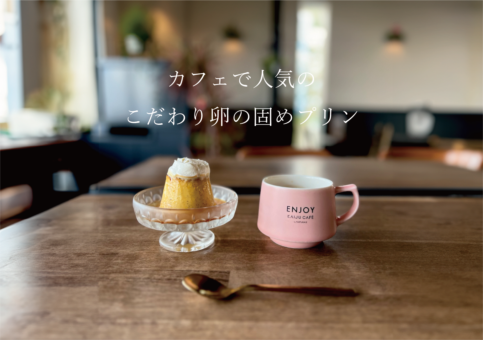 KAIJU CAFEで人気No.1のプリン