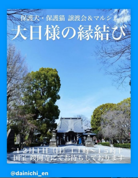 こちらのイベントに初参加させていただきます
