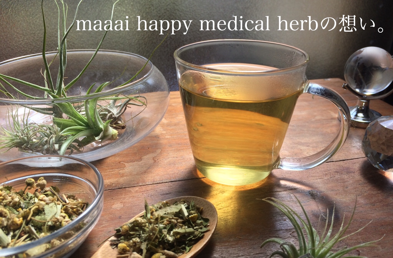 はじめに 《maaai happy medical herbの想い》