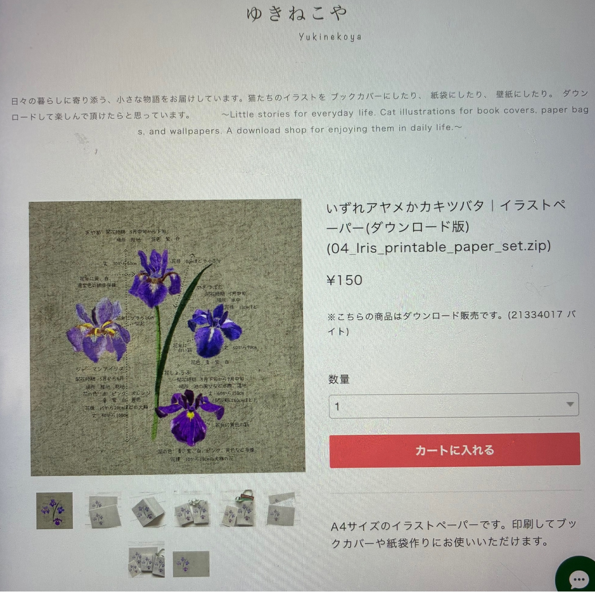 ダウンロード商品を実際に購入してみました。iPad Safari 版