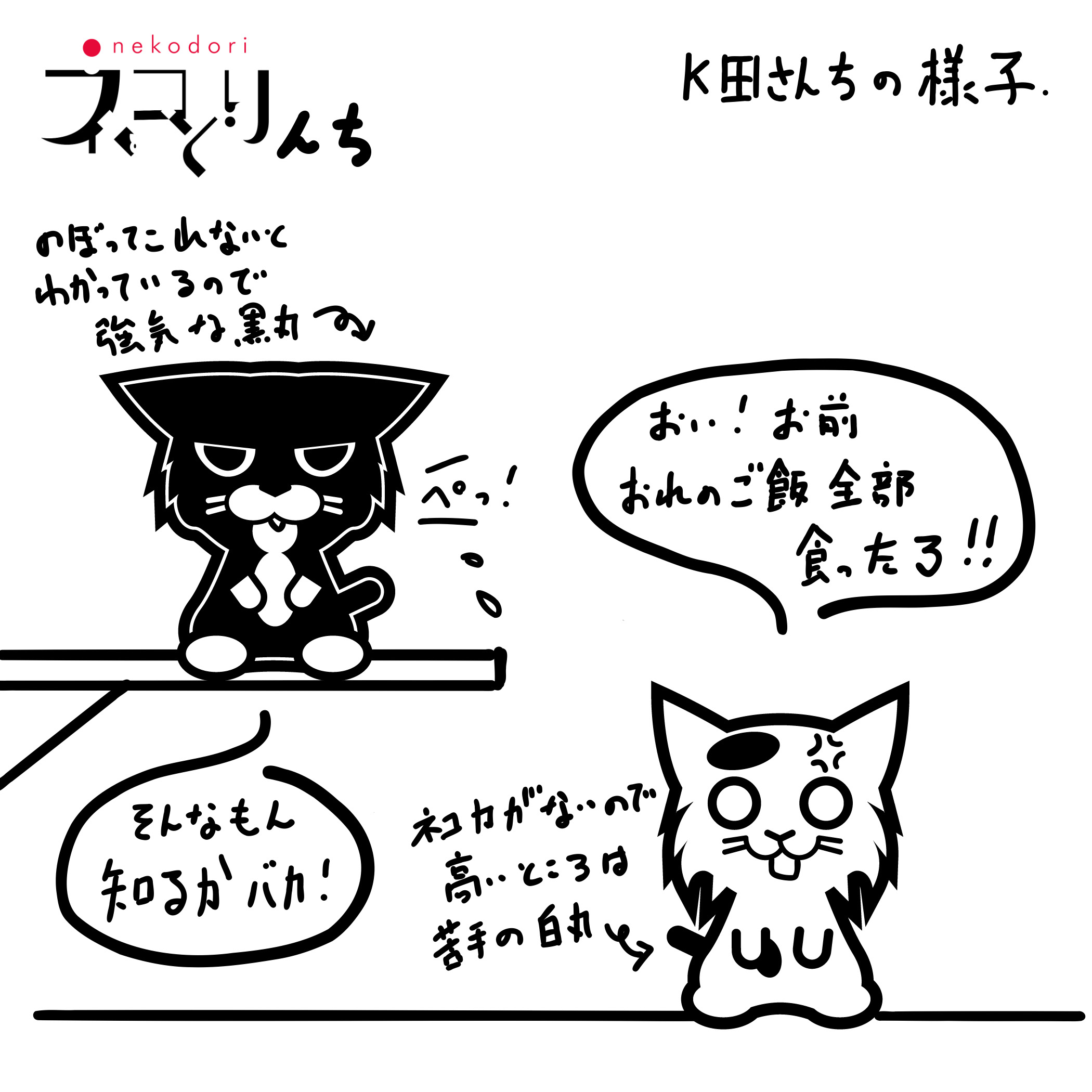 新企画「ネコどりんち」X（旧ツイッター）にて絶賛掲載中