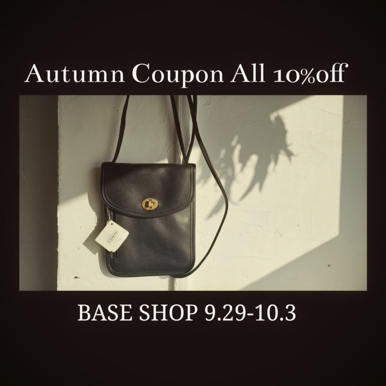 gypsophila ALL 10％OFF クーポン プレゼント！