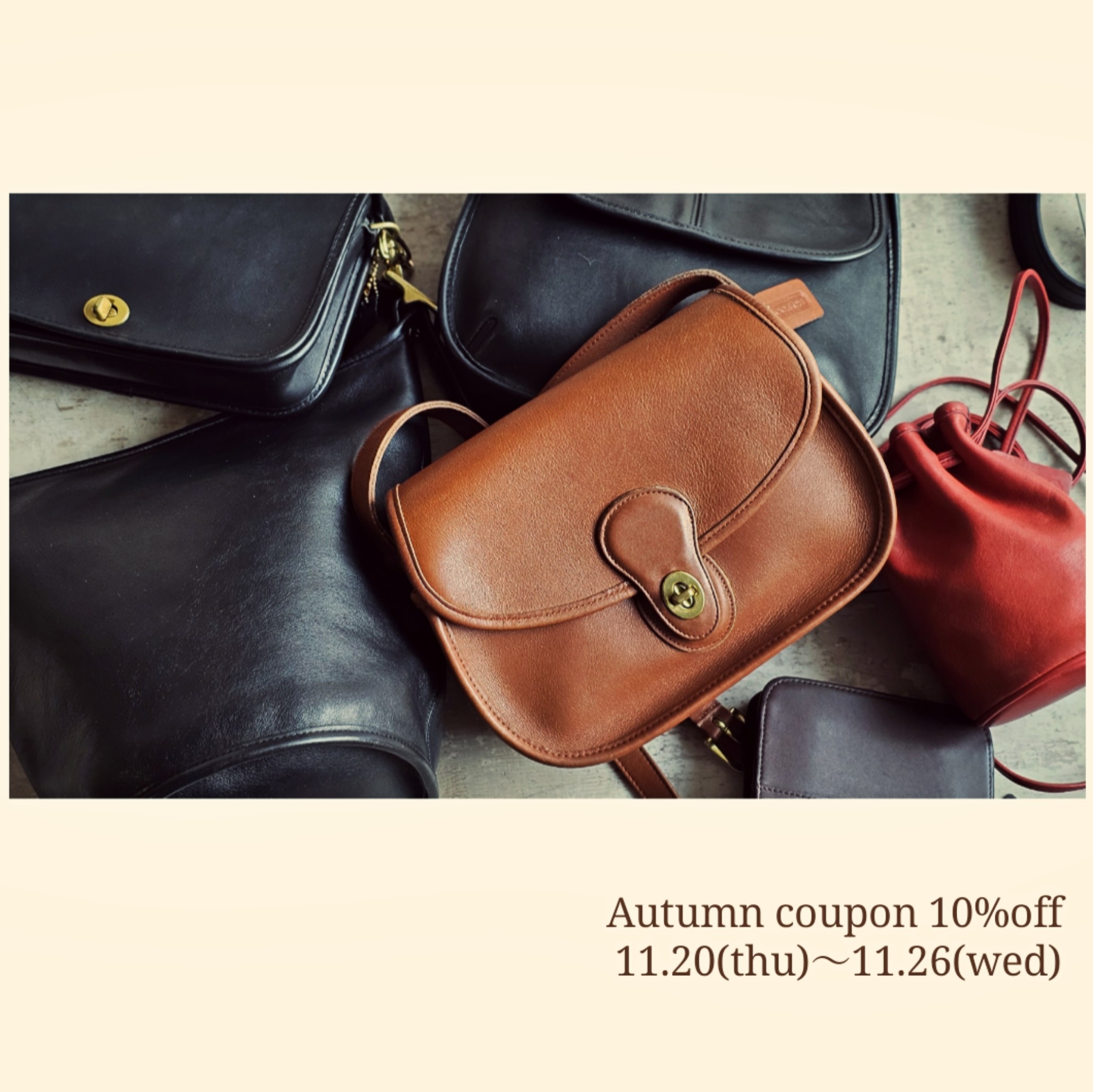 **gypsophila BASE店 Autumn 10%OFFクーポンプレゼント**