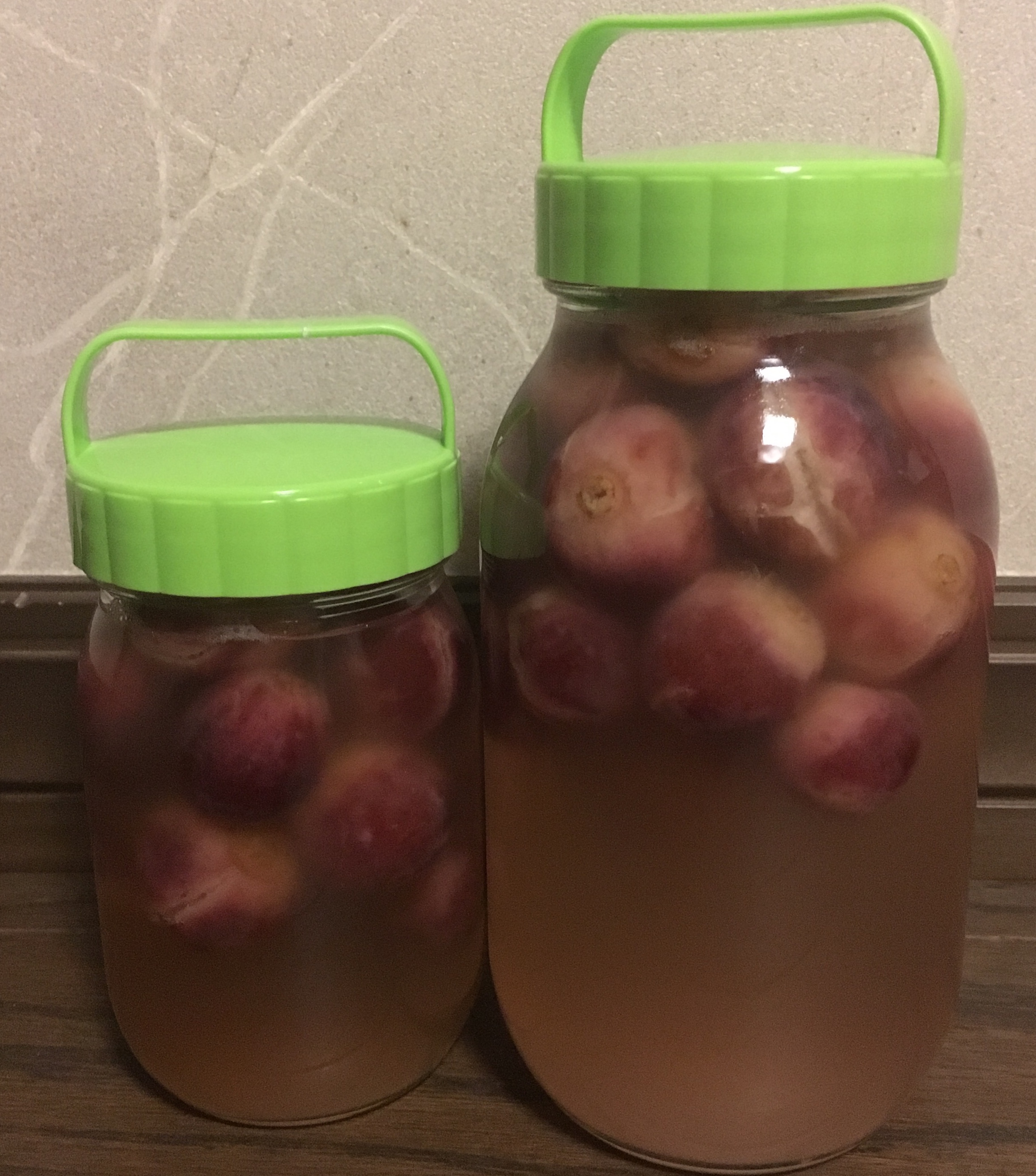 レッドグローブの酵母ができました。