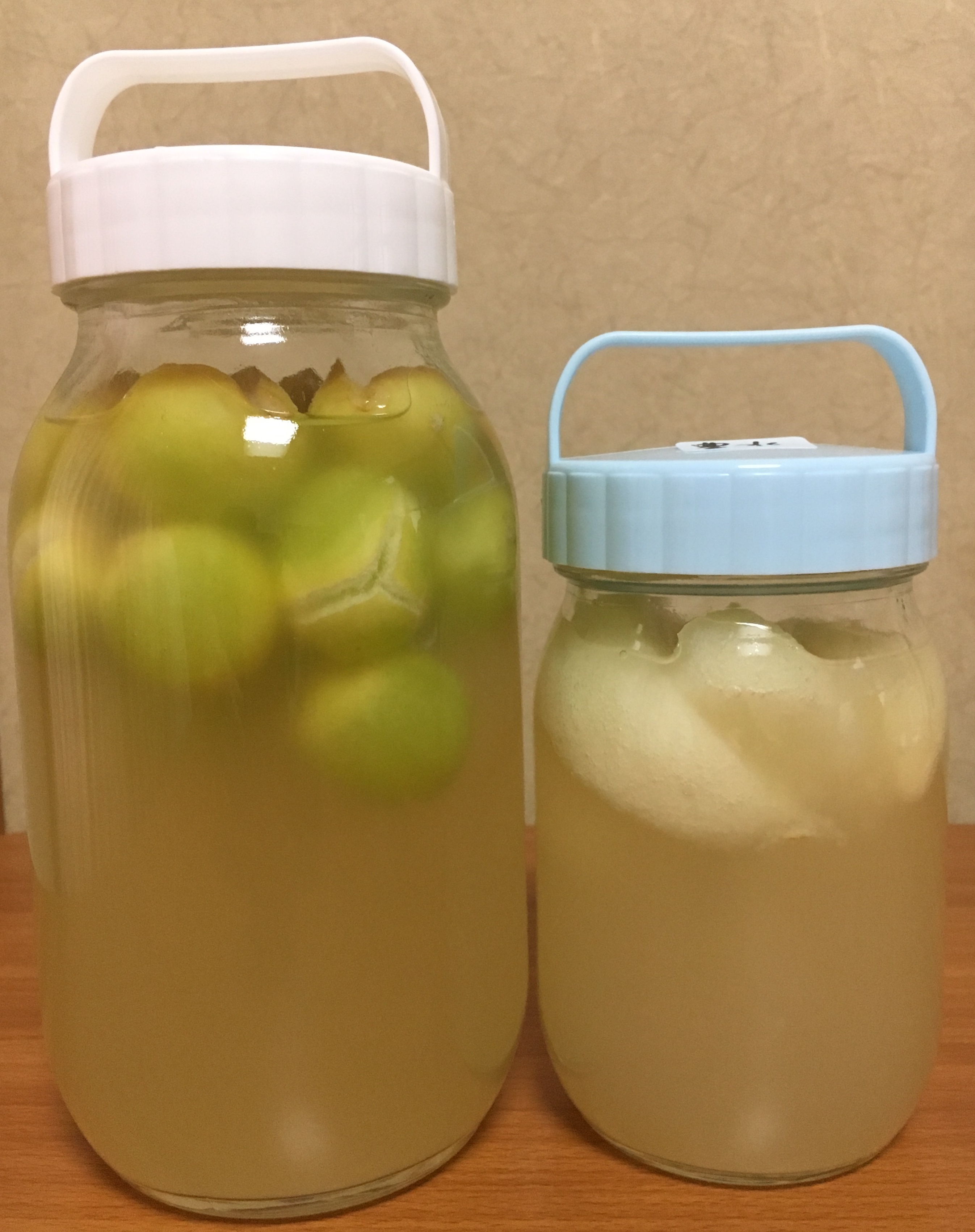 酵母完成！