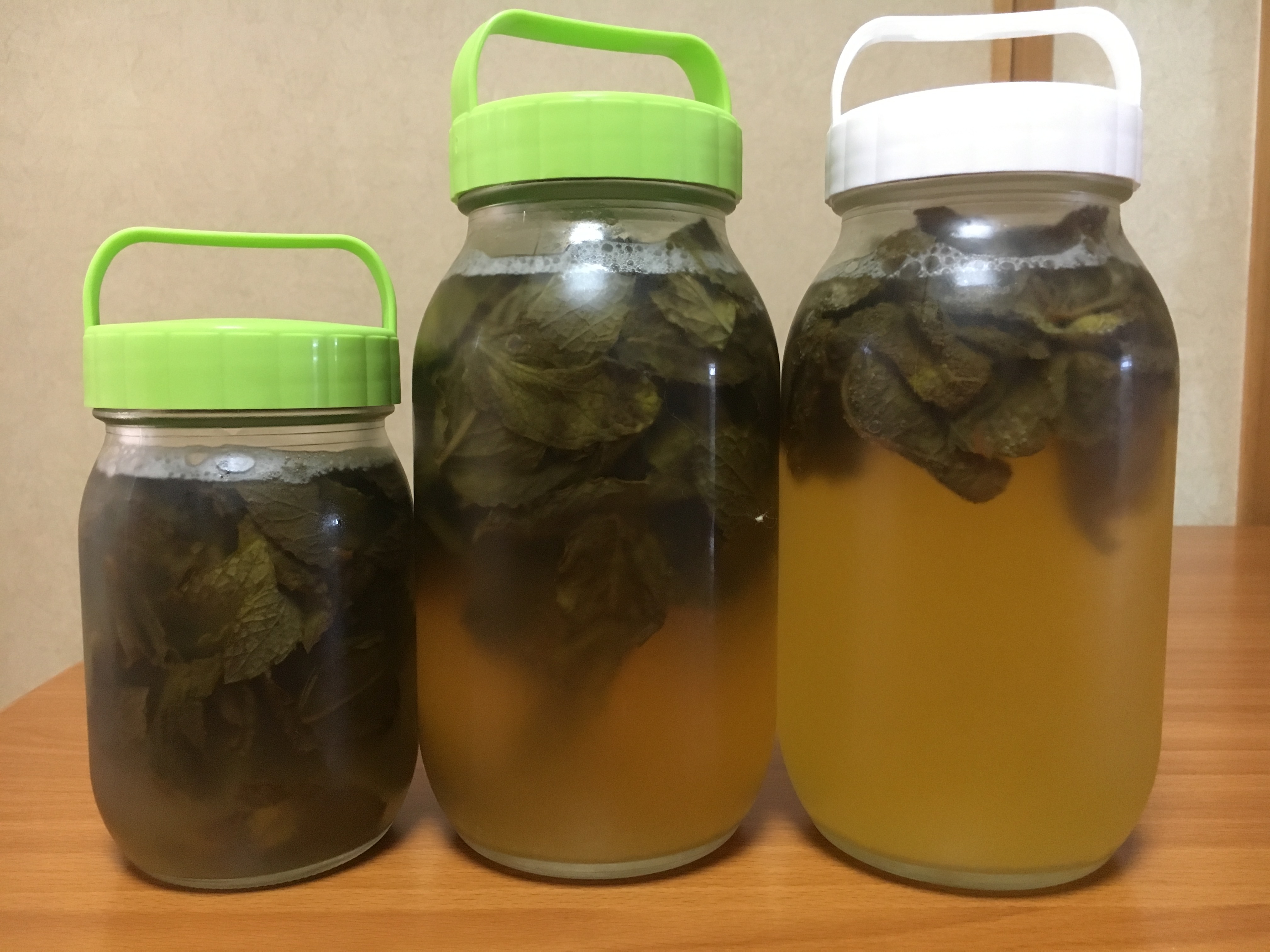 ミントの酵母が完成