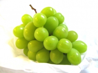 秋の果物で酵母作りを！