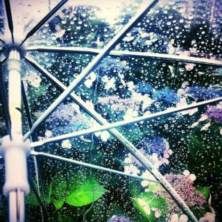雨の日にも！