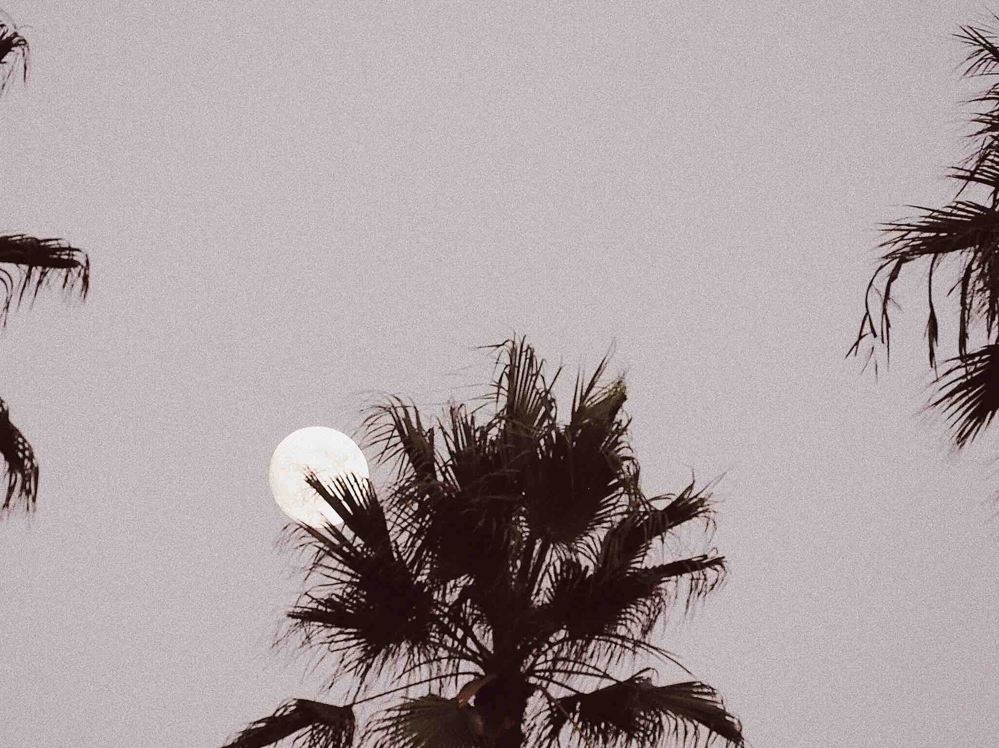 年末年始の配送・お問い合わせに関しまして