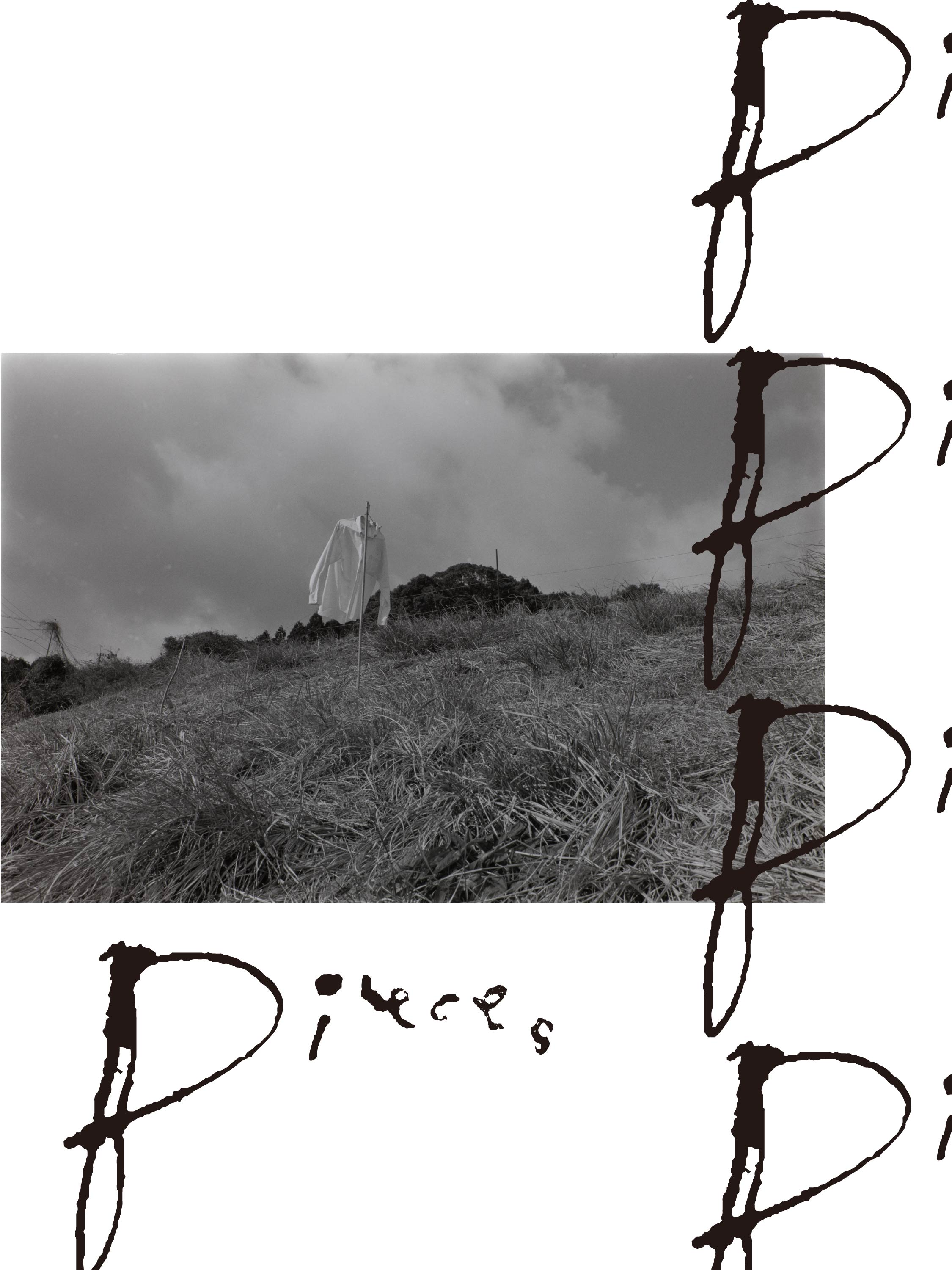 写真展”Pieces”DM design