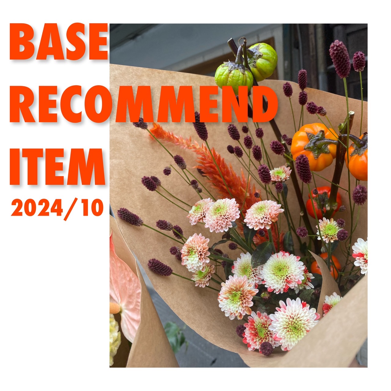 oneline shop recommend item🍁