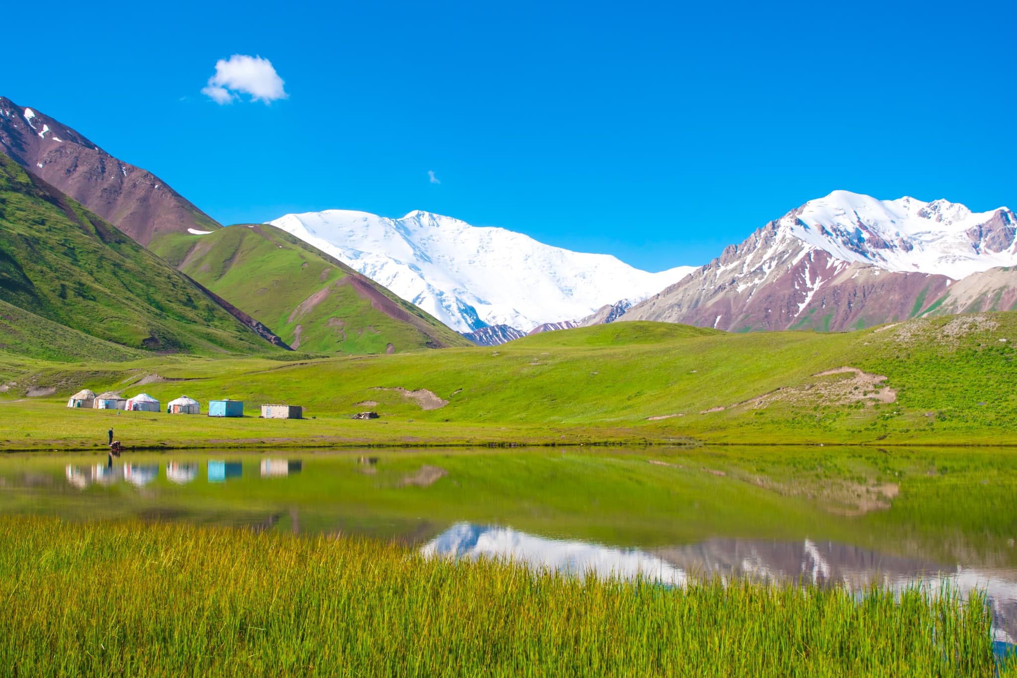 天空の国キルギスから届いた、白いはちみつ