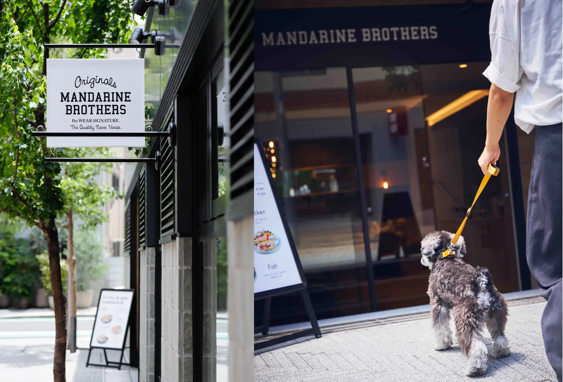 【店内ペットOK】カフェ併設マンダリンブラザーズ唯一の直営SHOP