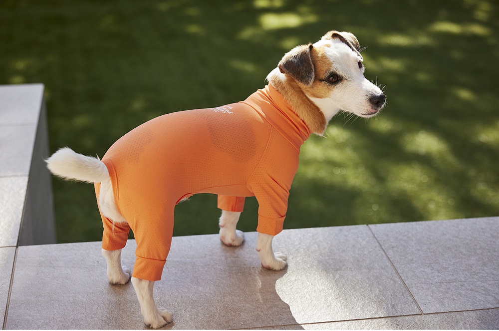 不快害虫から愛犬をガードしてくれる「INSECT SHIELDインセクトシールド」シリーズ
