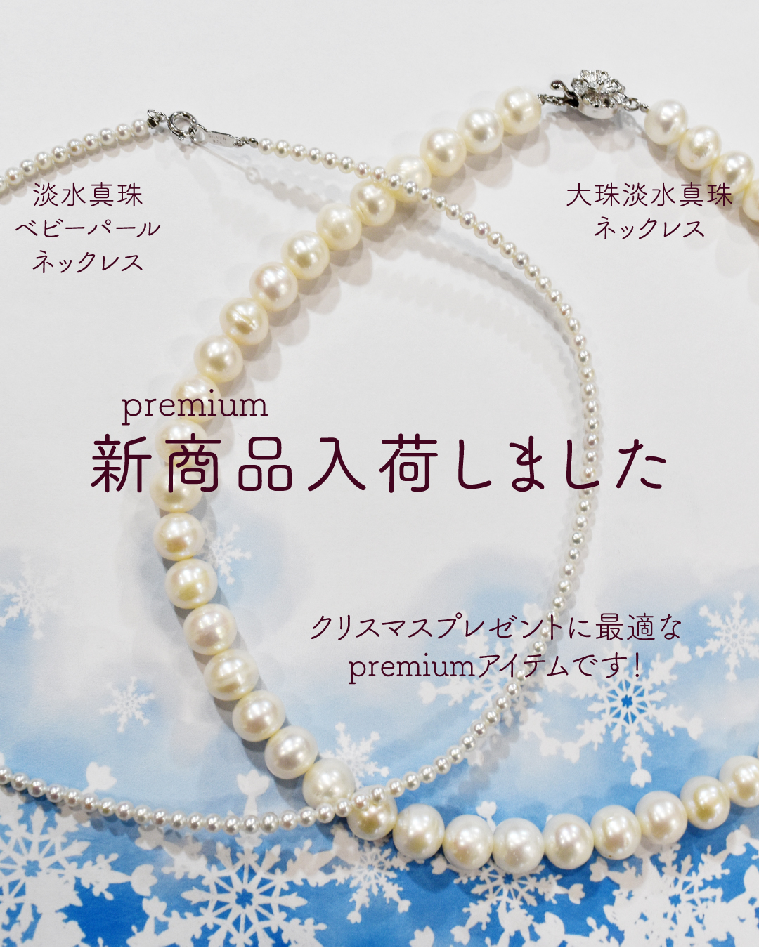 特別企画《premiumシリーズ》登場