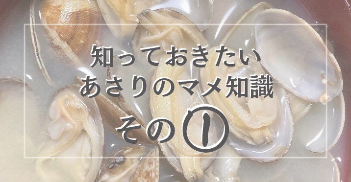 知っておきたい、あさりのマメ知識!!その①
