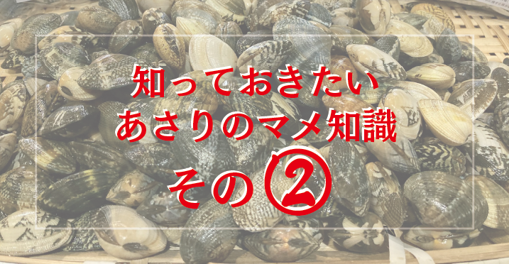 知っておきたい、あさりのマメ知識!!その②