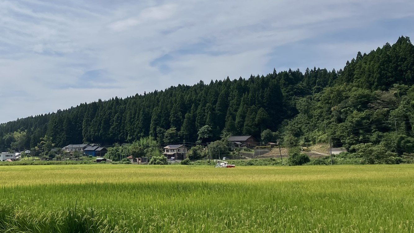 令和6年産新米　販売開始です！