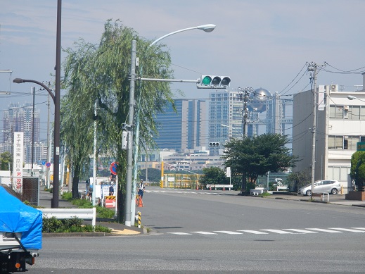 台風から始まり・・・　傘もいらず・・・残ったのは