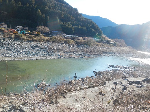 天竜川　川床改修？　現状は？