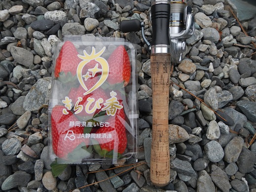 天竜川　C&R　特別放流　でも白い濁りが？！