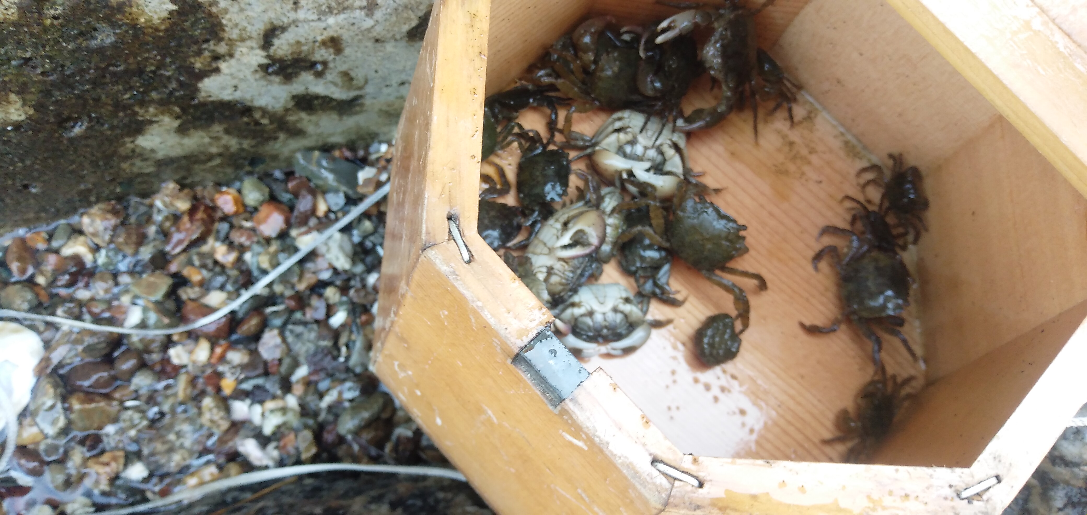 久々の釣り、イン浜名湖