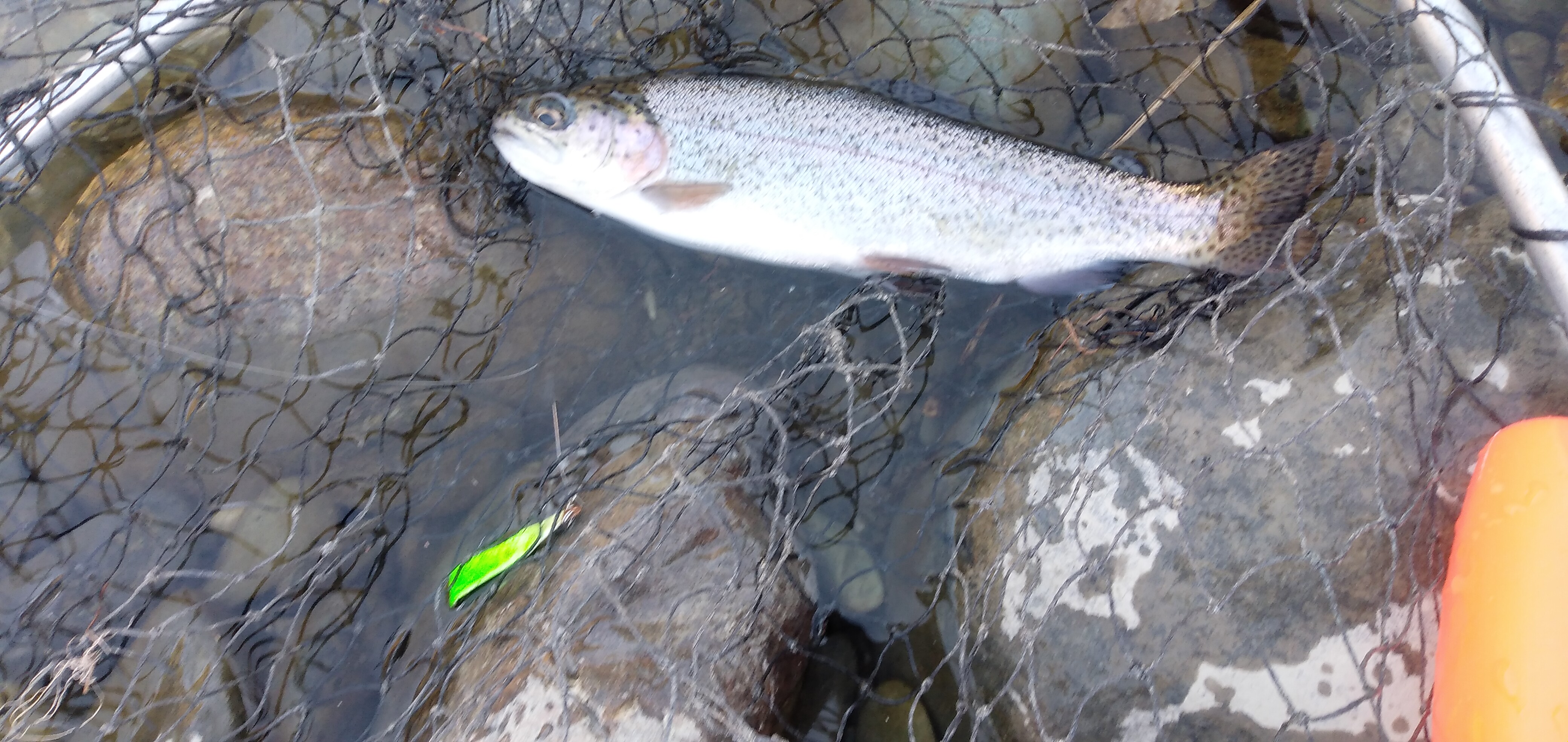 天竜川、スタート直後ドスン?