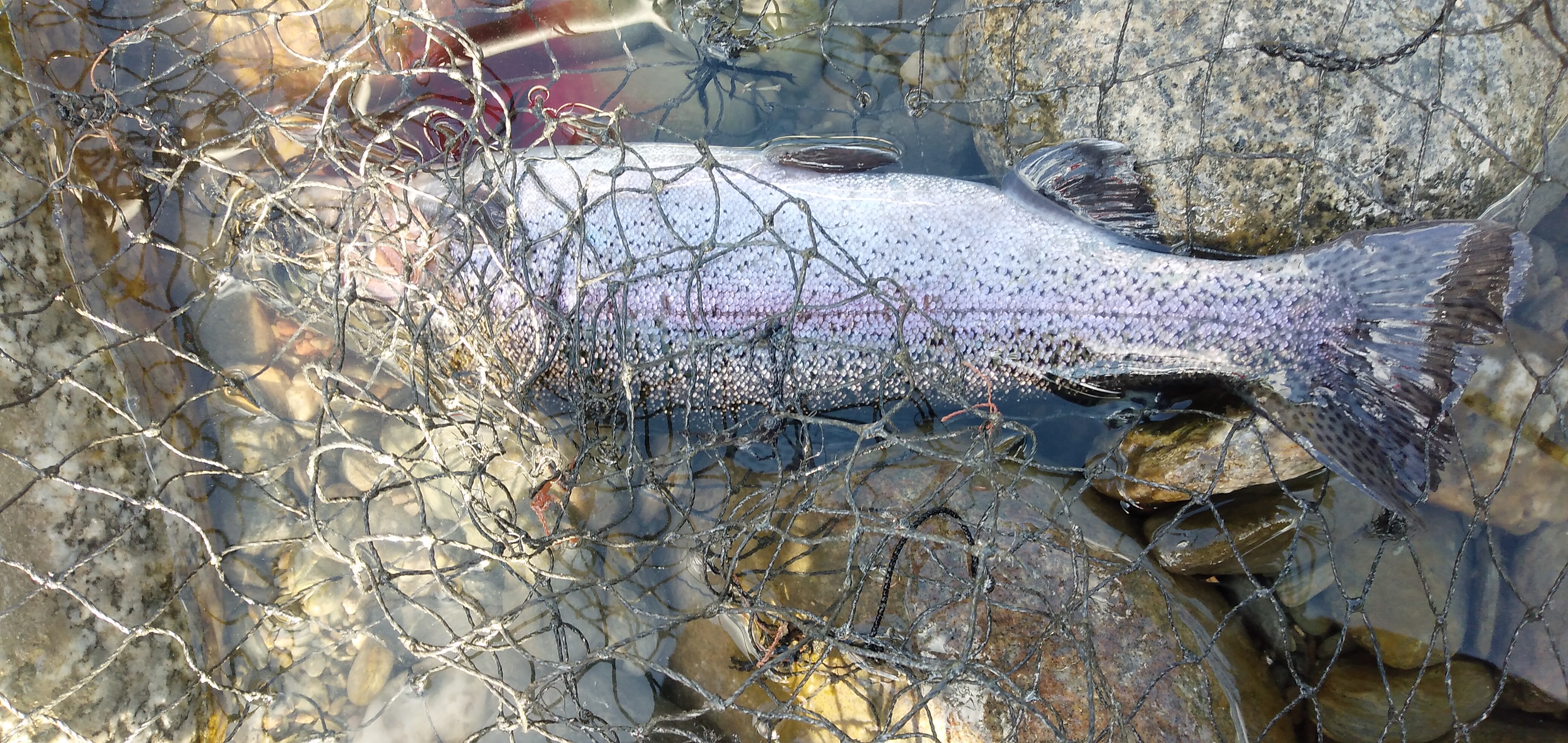 天竜川、ランディング直前に…