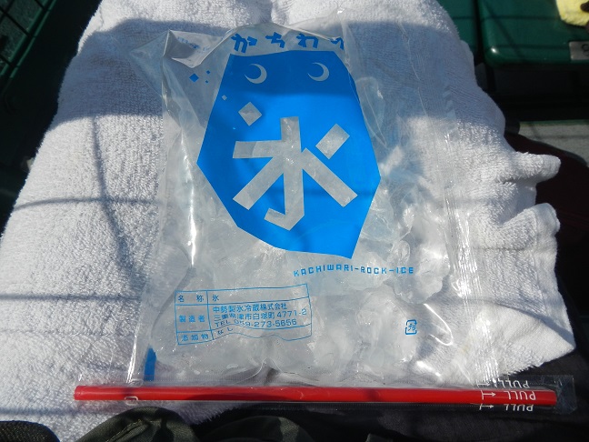 熱闘甲子園100回記念大会、熱さ『半端ない』