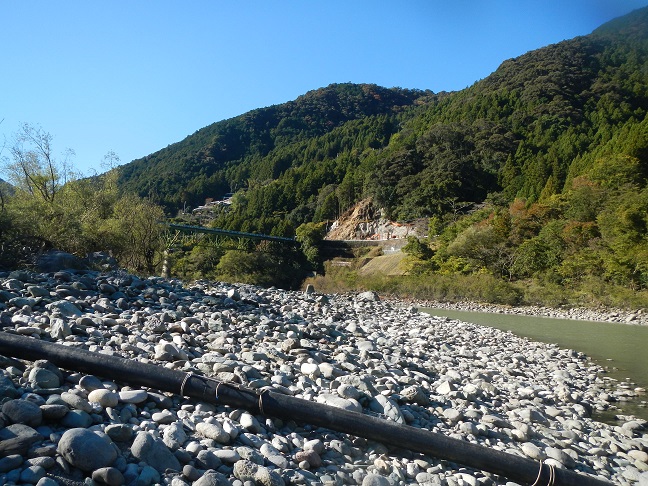 １１月１５日　鮎釣今季初放流・・・玉砕！