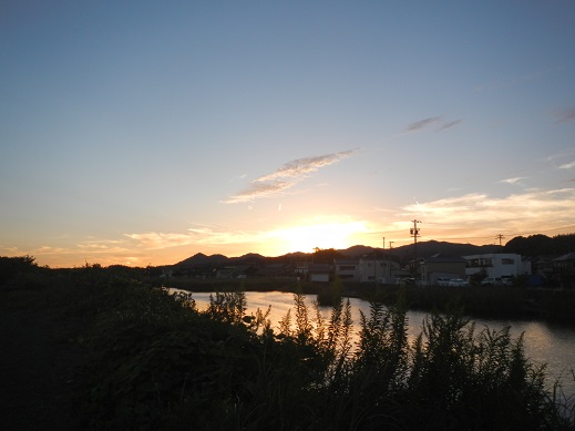 秋の夕暮れ　この魚の群れは？
