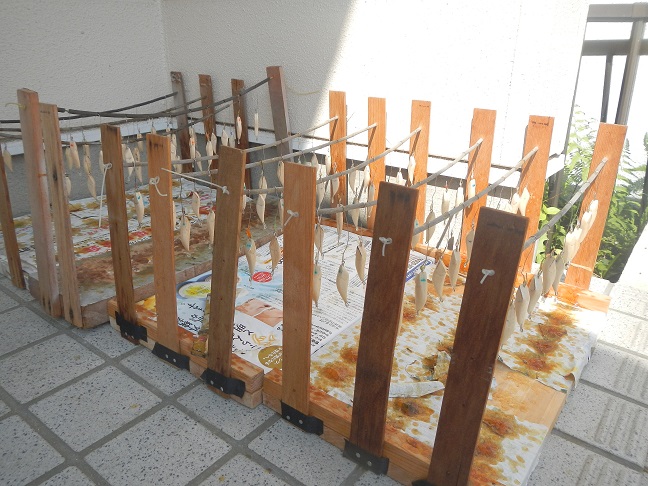 梅雨時の貴重な晴れ間には・・・