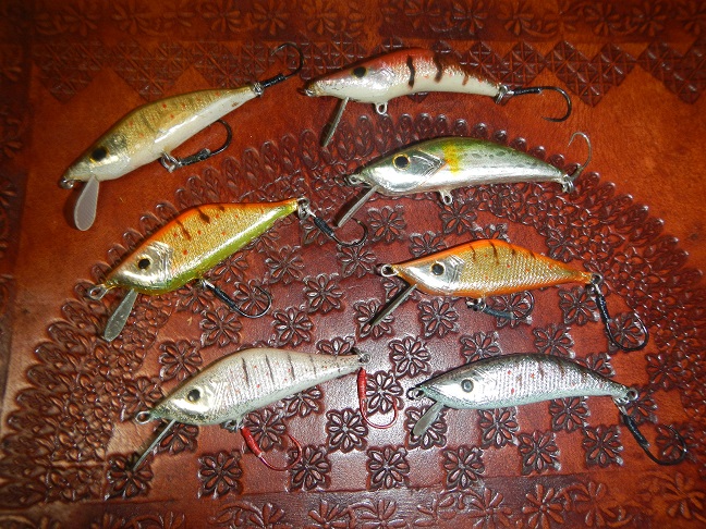 魚に取っての、朝マズメ、一体何時。