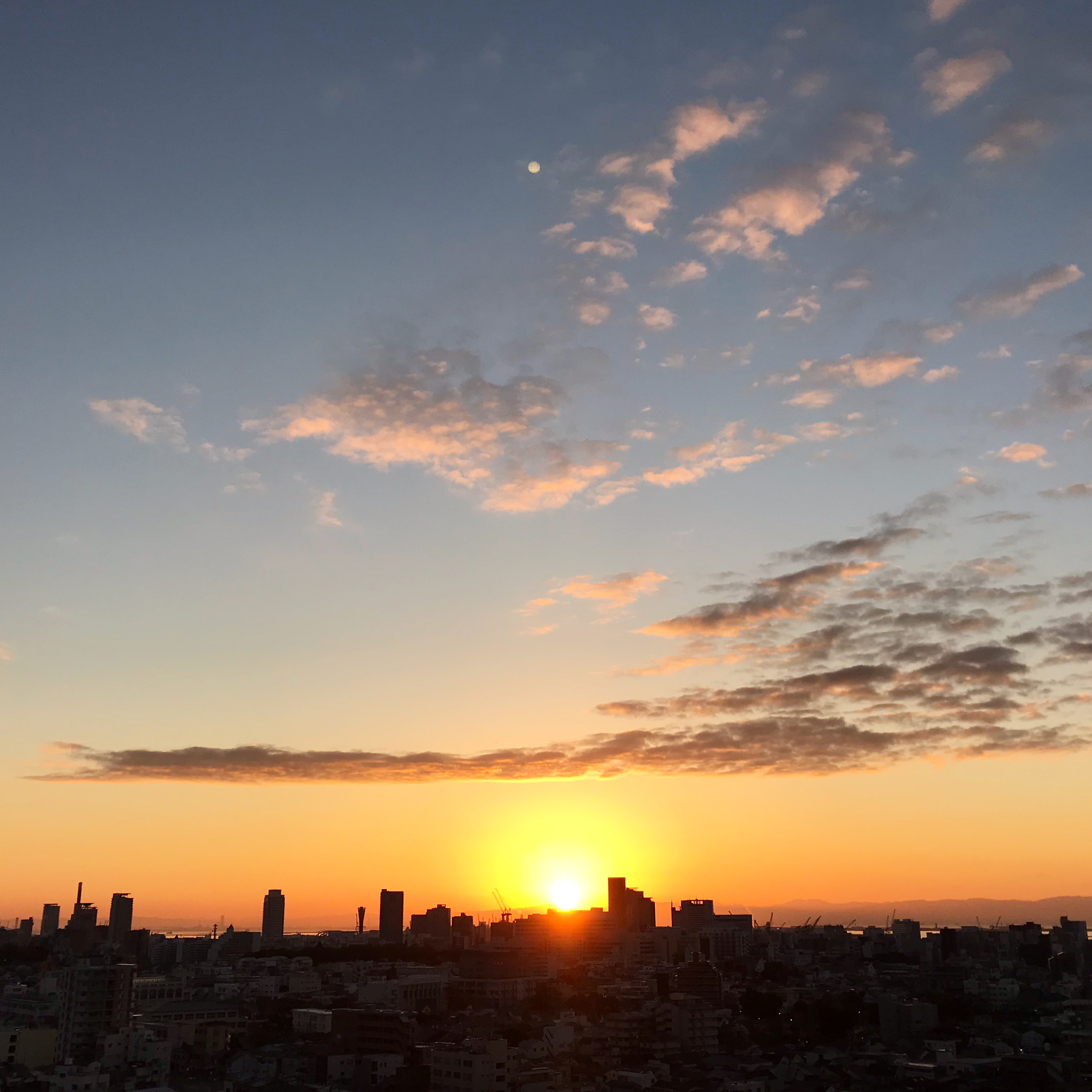 2019.1.1♡