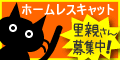 ねこねこりんについて