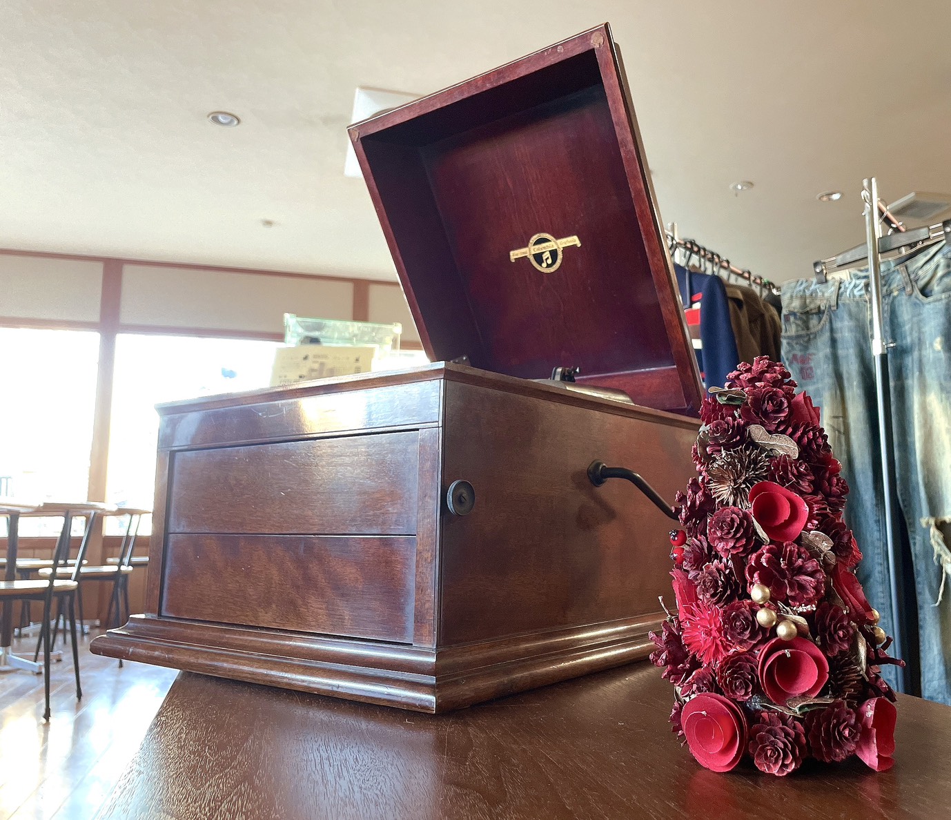 蓄音器のオンキーと赤いクリスマスツリー