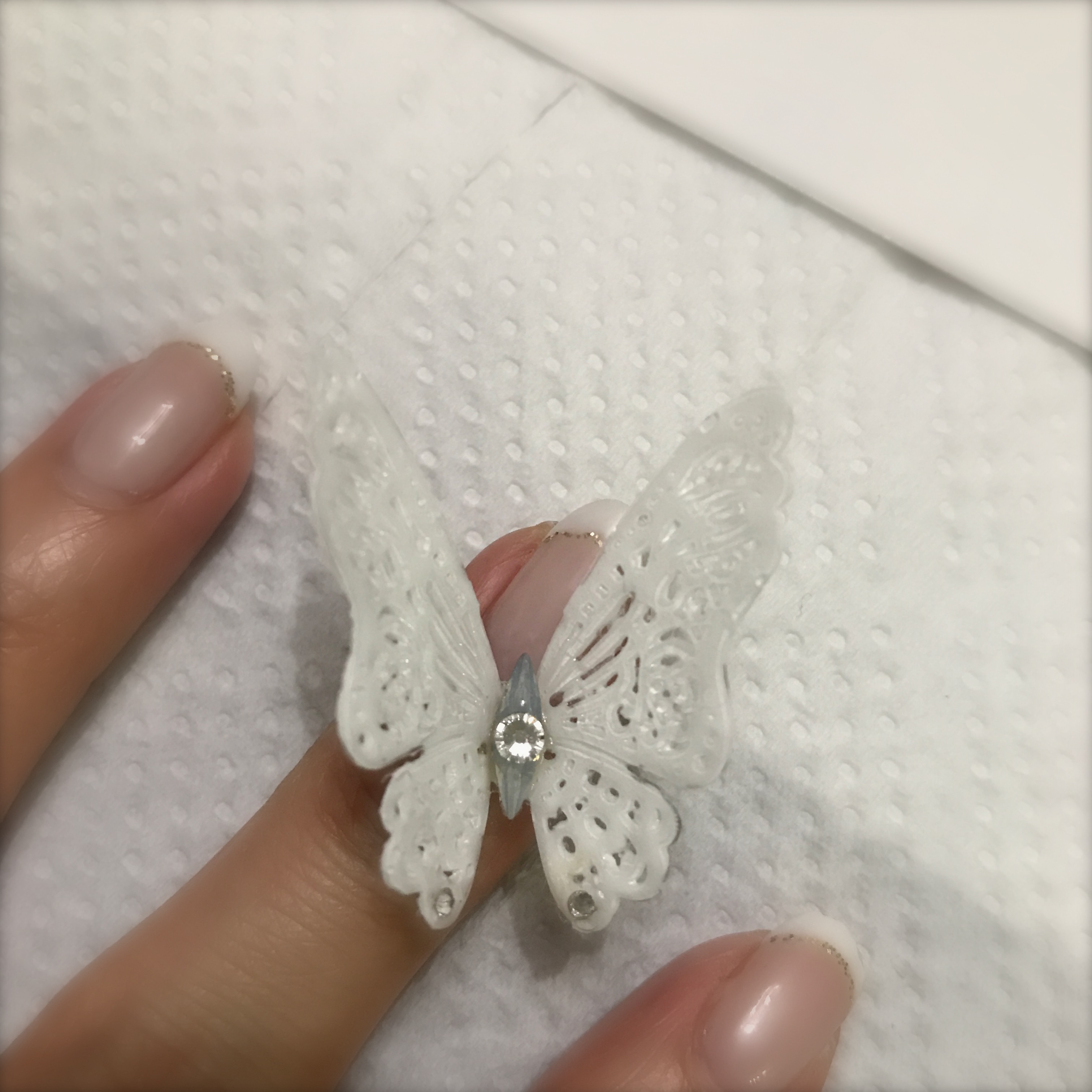 ジェル3dアート 蝶々 Meeechan Nail