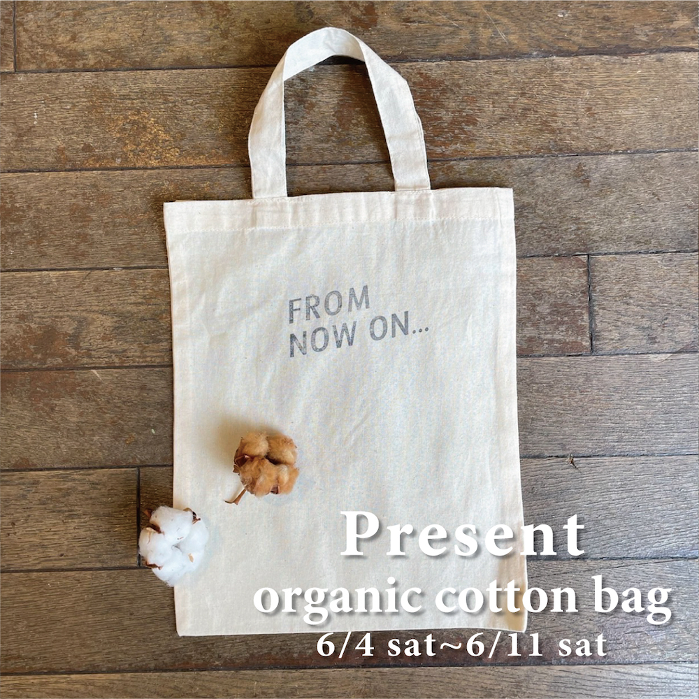 【Organic cotton bag Present】