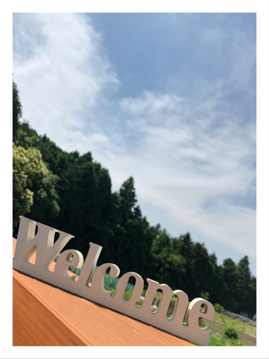 * Hello✌︎*