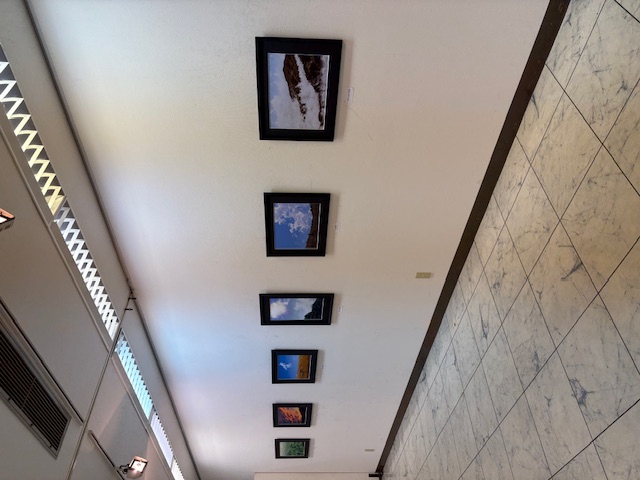 仲間展