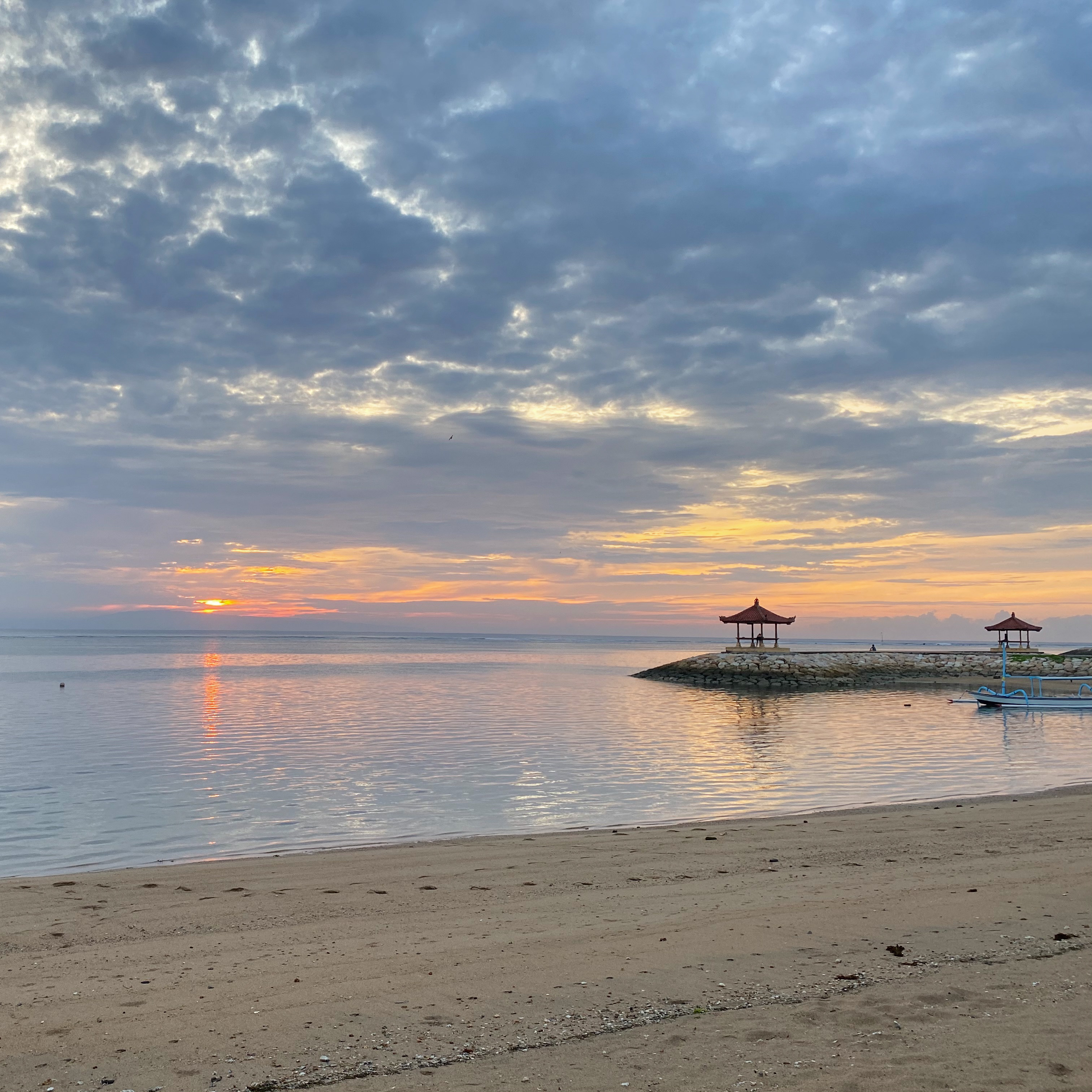 6月になりました！