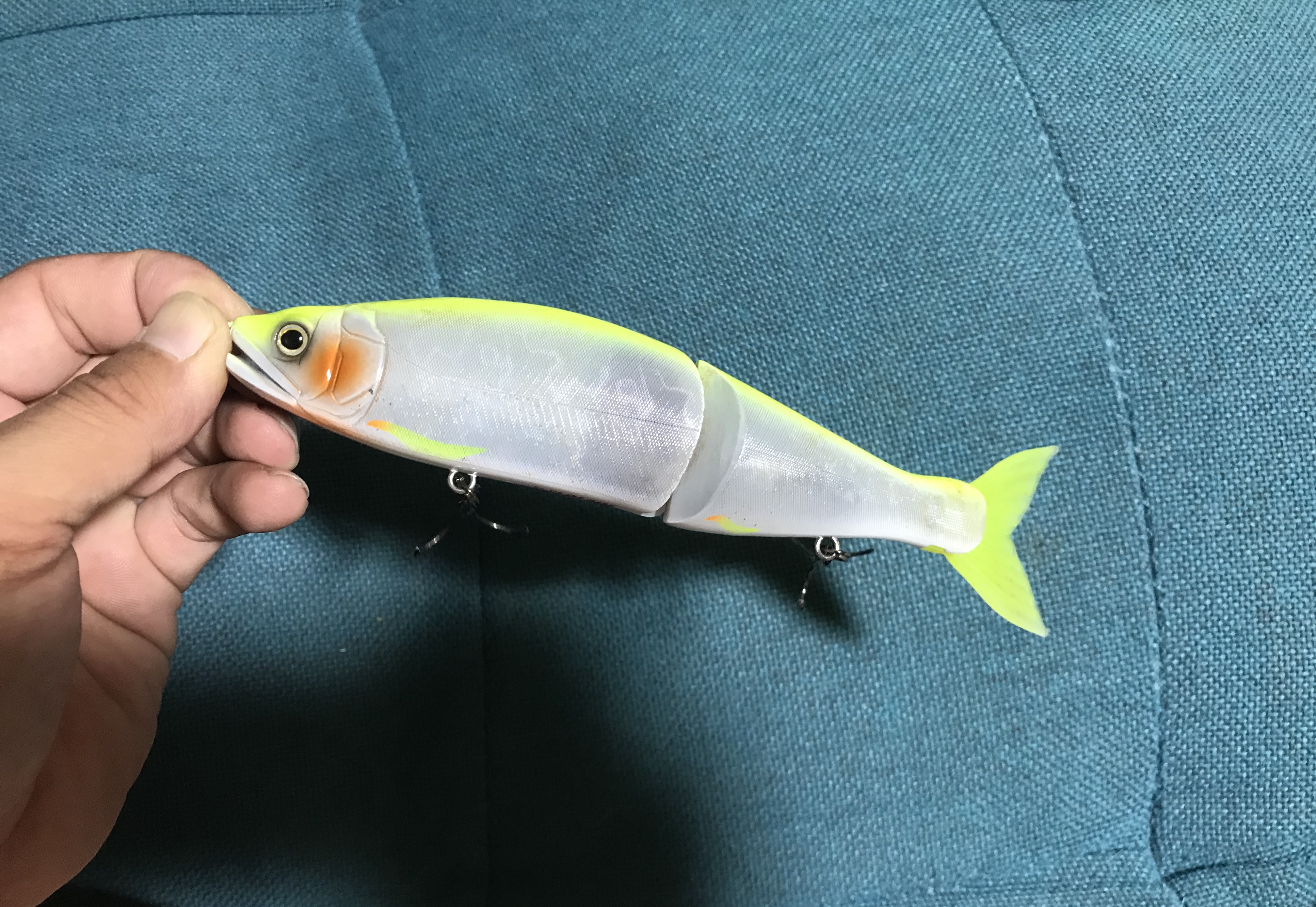 減水している池で