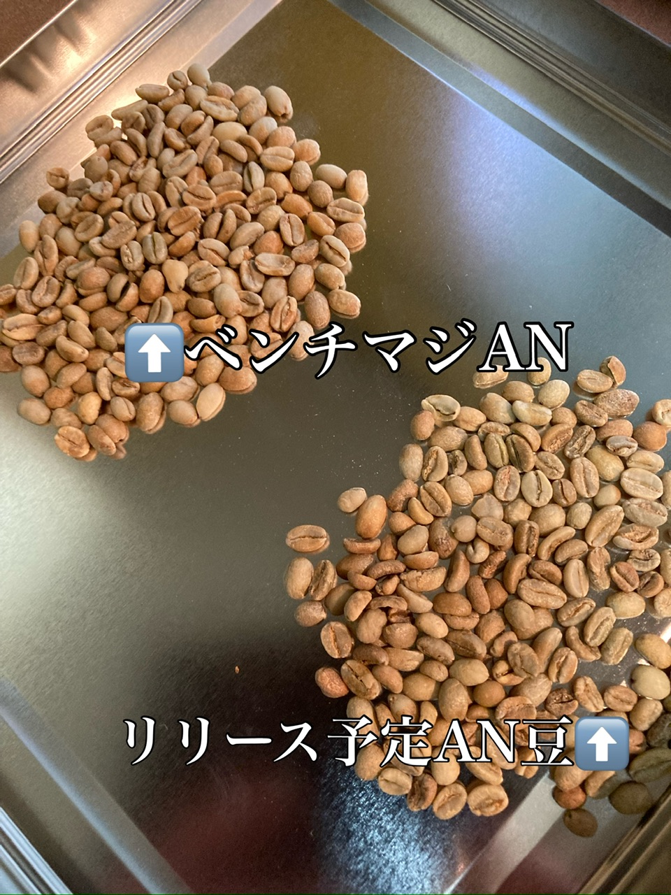ベンチマジラストバッチ