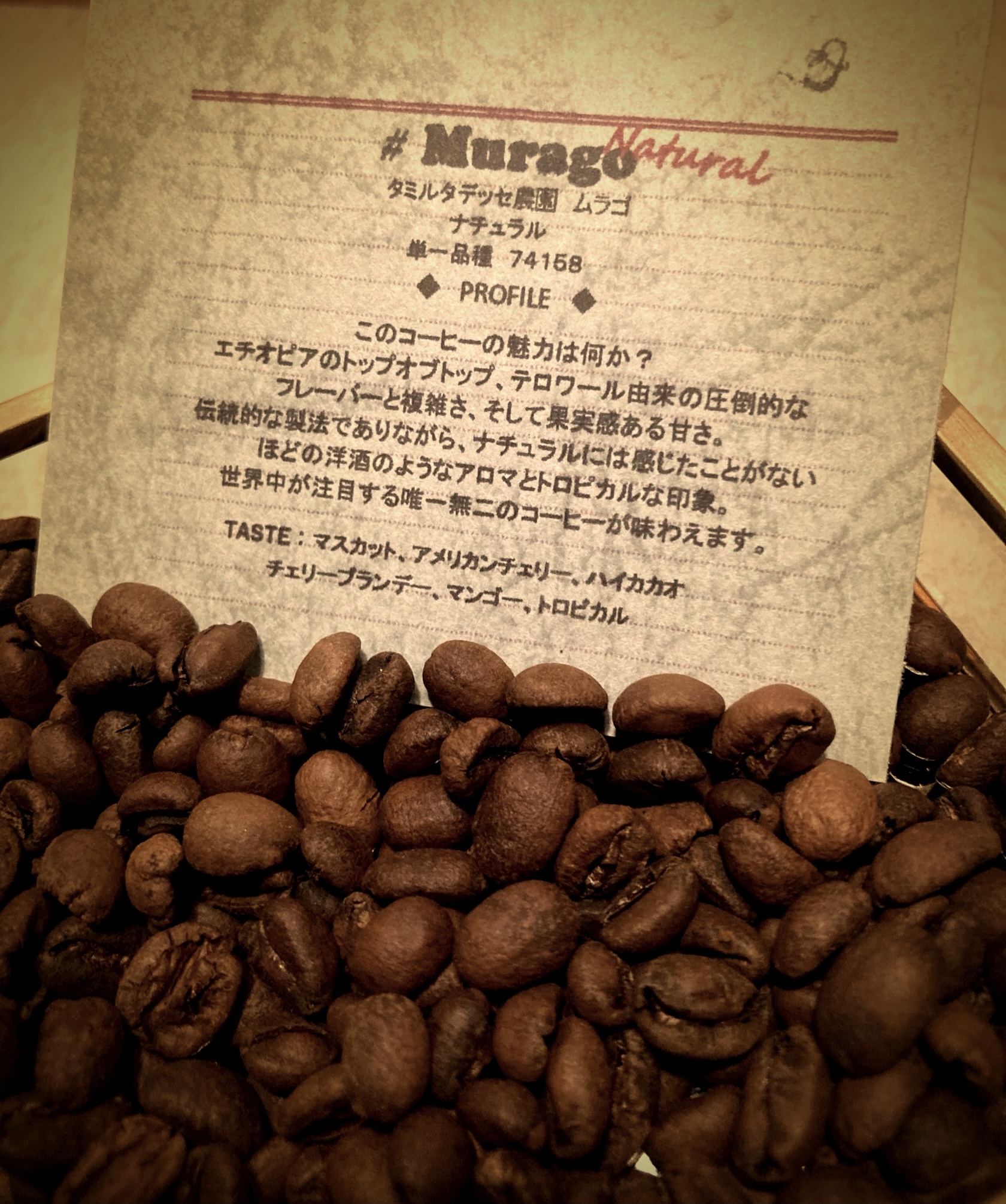 明日のマルシェラインナップ