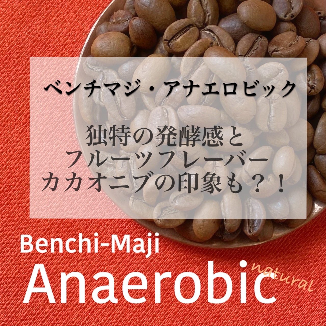 今週日曜日は交通会館マルシェ